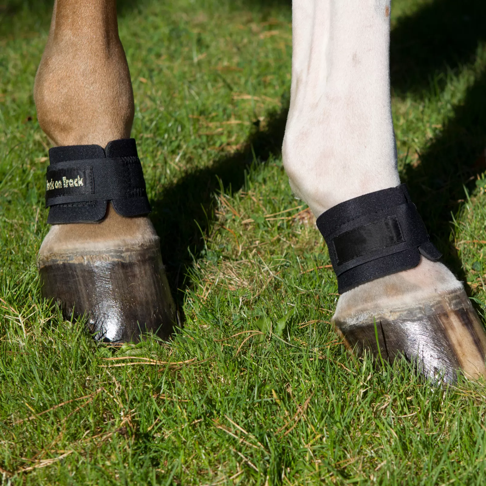 backontrack Bacl On Track Pastern Wrap Black Clearance