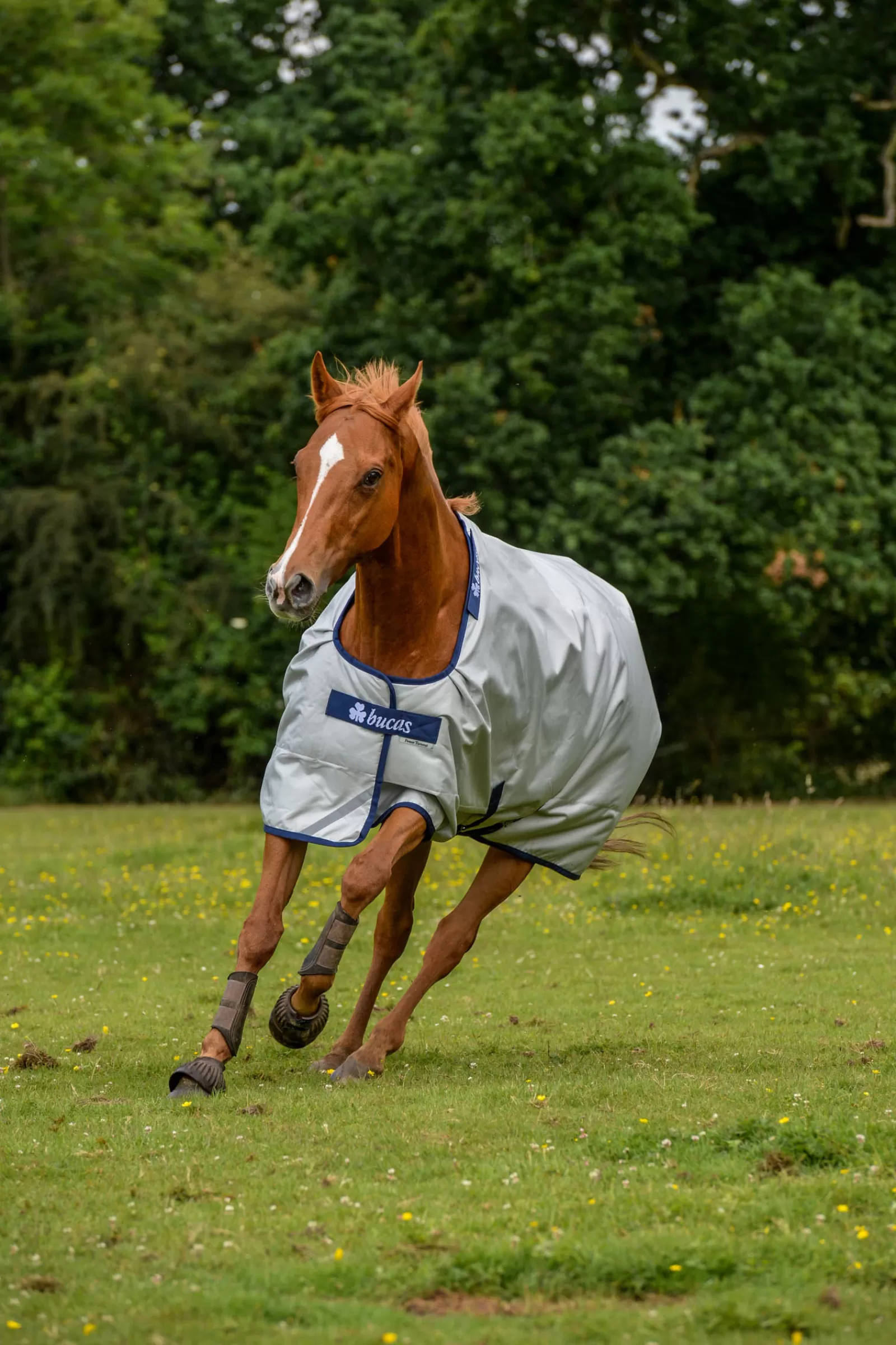 bucas Power -Ulkoloimi Silver/Dark Blue Flash Sale