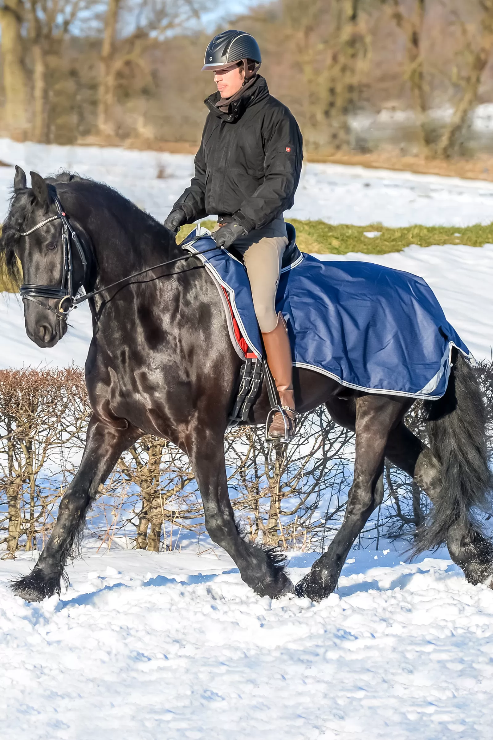 bucas -Ratsastusloimi Dark Blue/Silver Hot