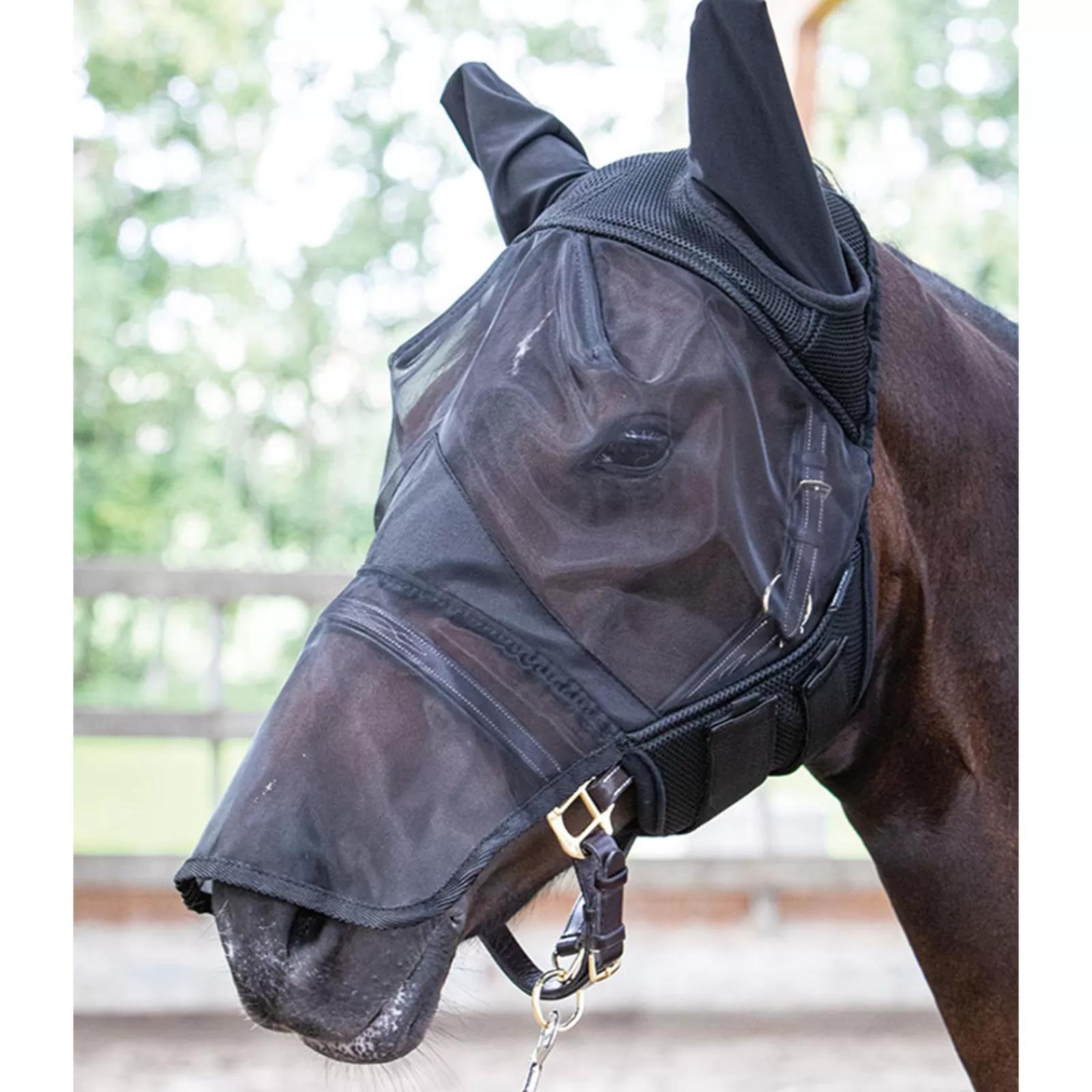 harryshorse Harry'S Horse Flyshield Karpasmaski Turpasuojalla Black Sale