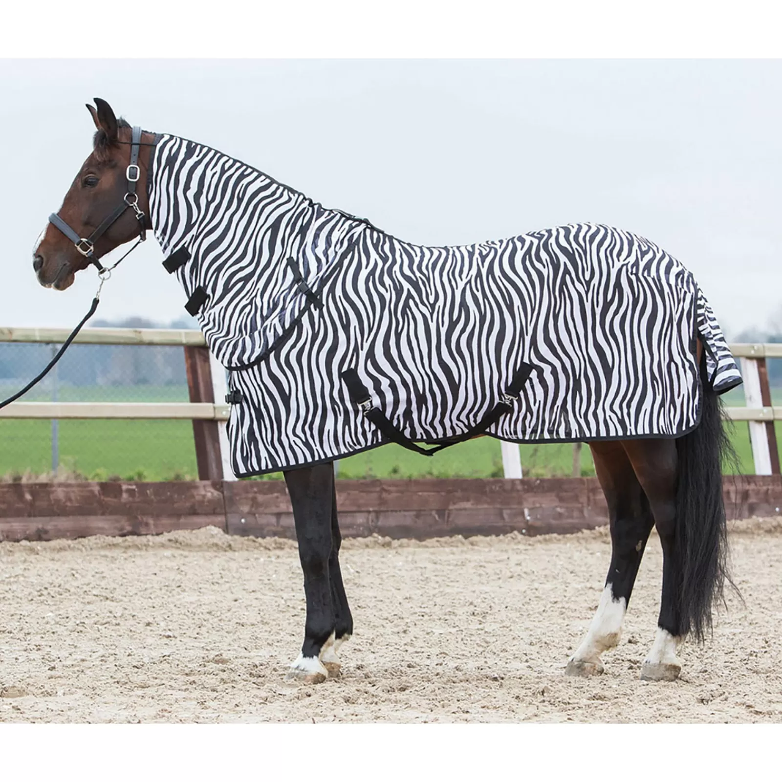 harryshorse Harry'S Horse Hyonteisloimi Kaulakappaleella Black/White Hot