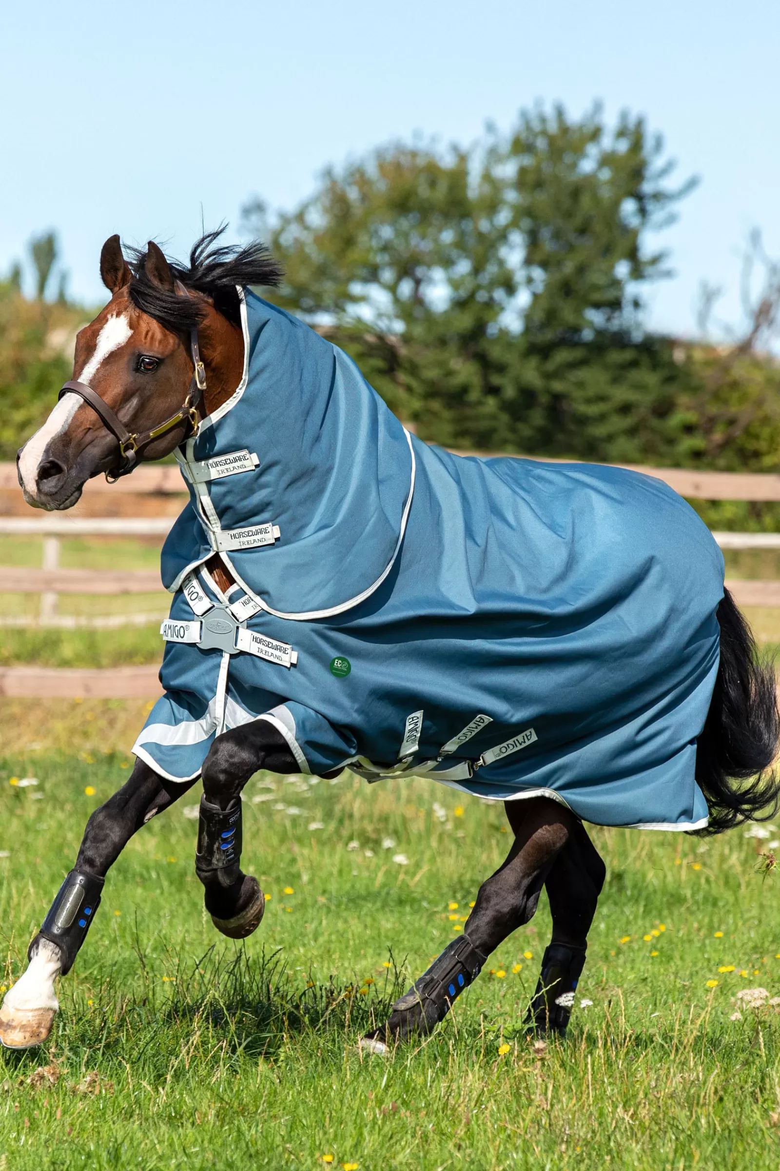 horseware Ameco Bravo 12 Plus Ulkoloimi Irrotettavalla Kaulakappaleella, 100 G Teal/ Grey Flash Sale