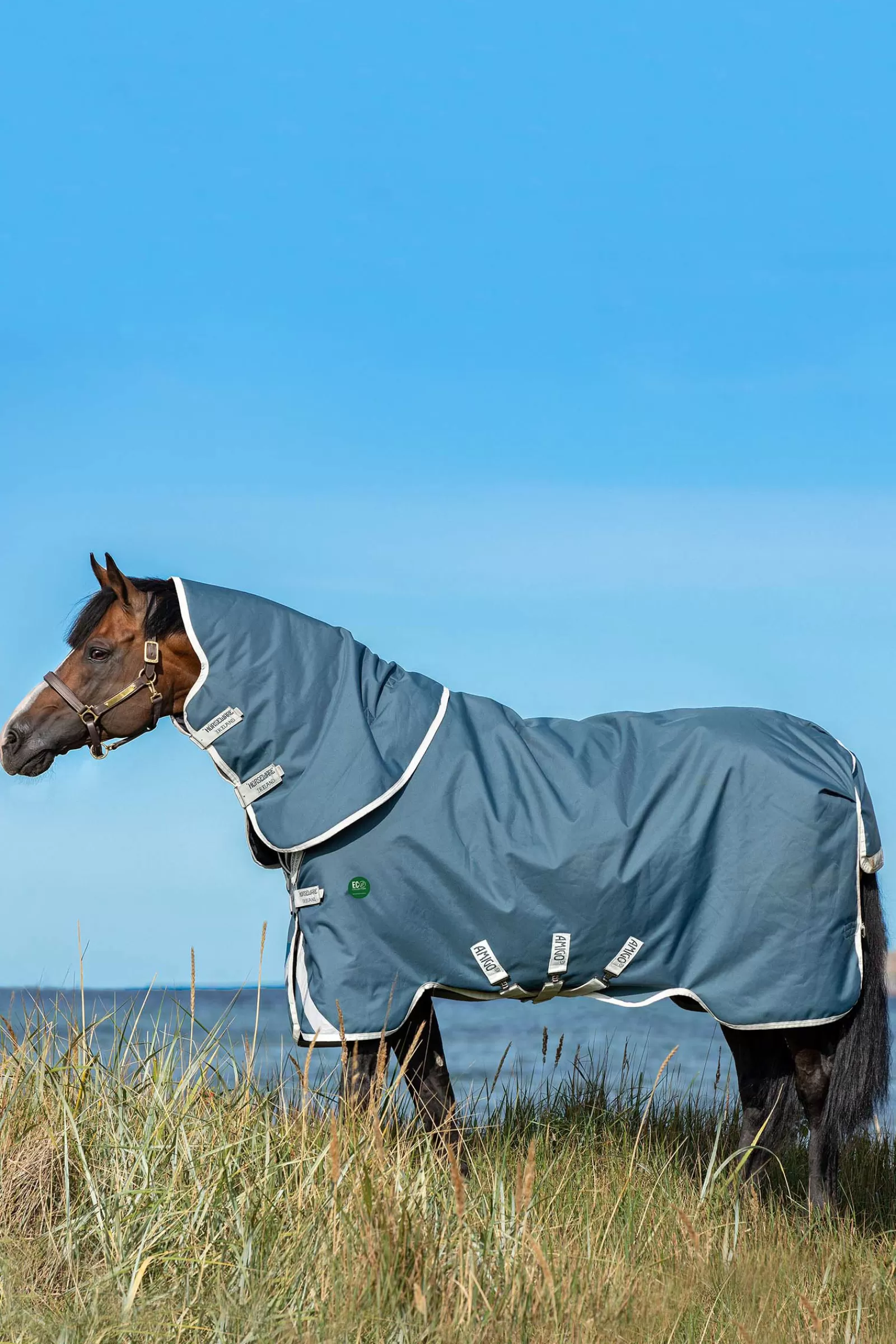 horseware Ameco Bravo 12 Plus Ulkoloimi Irrotettavalla Kaulakappaleella, 100 G Teal/ Grey Flash Sale