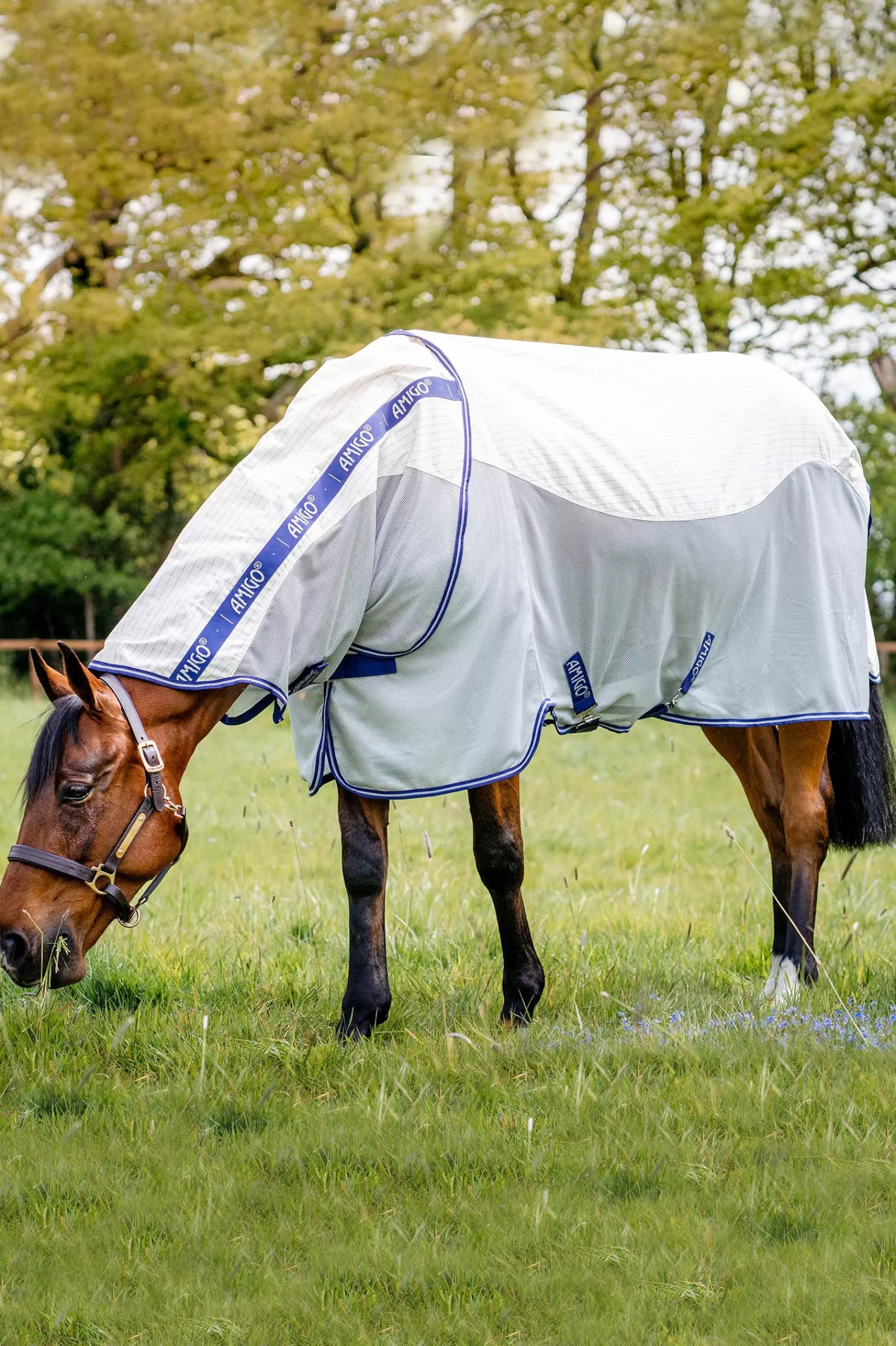 horseware Amigo Airflow -Loimi Navy/Airblue Outlet