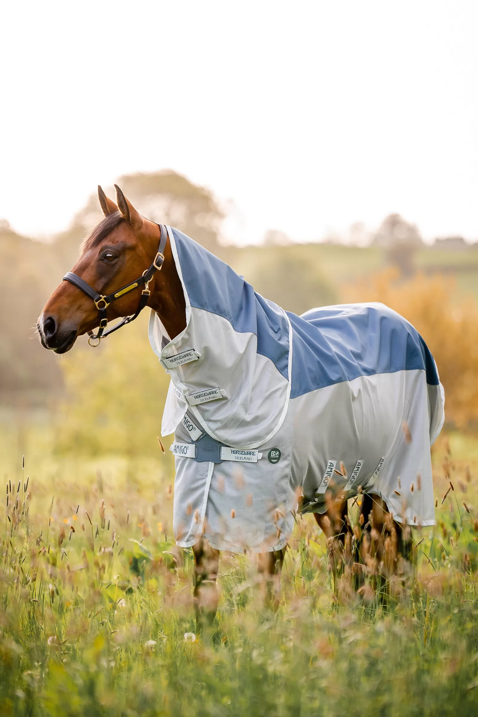 horseware Amigo Ameco Combi Loimi Teal/ Grey Cheap