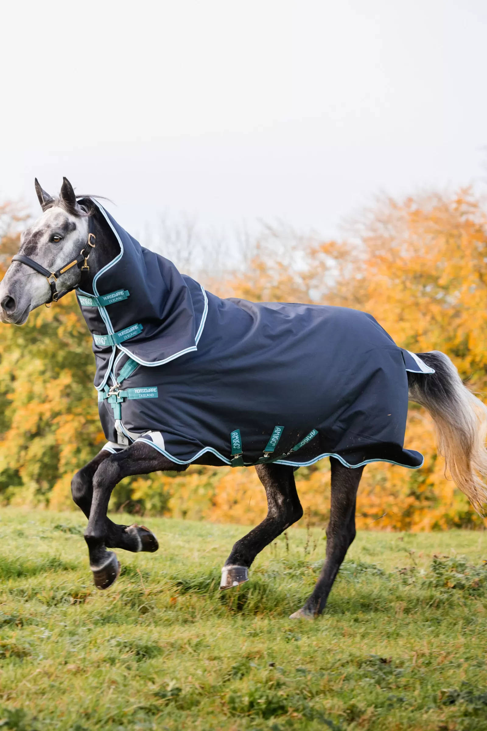 horseware Amigo Bravo 12 Plus Medium Ulkoloimi, 250 G Navy/Airblue Best Sale