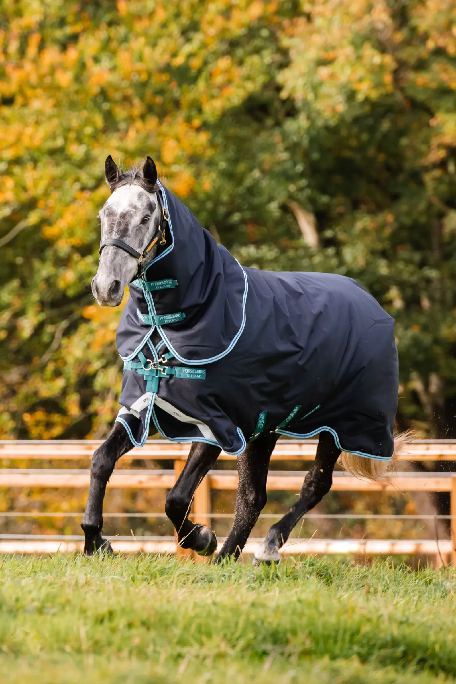 horseware Amigo Bravo 12 Plus Medium Ulkoloimi, 250 G Navy/Airblue Best Sale