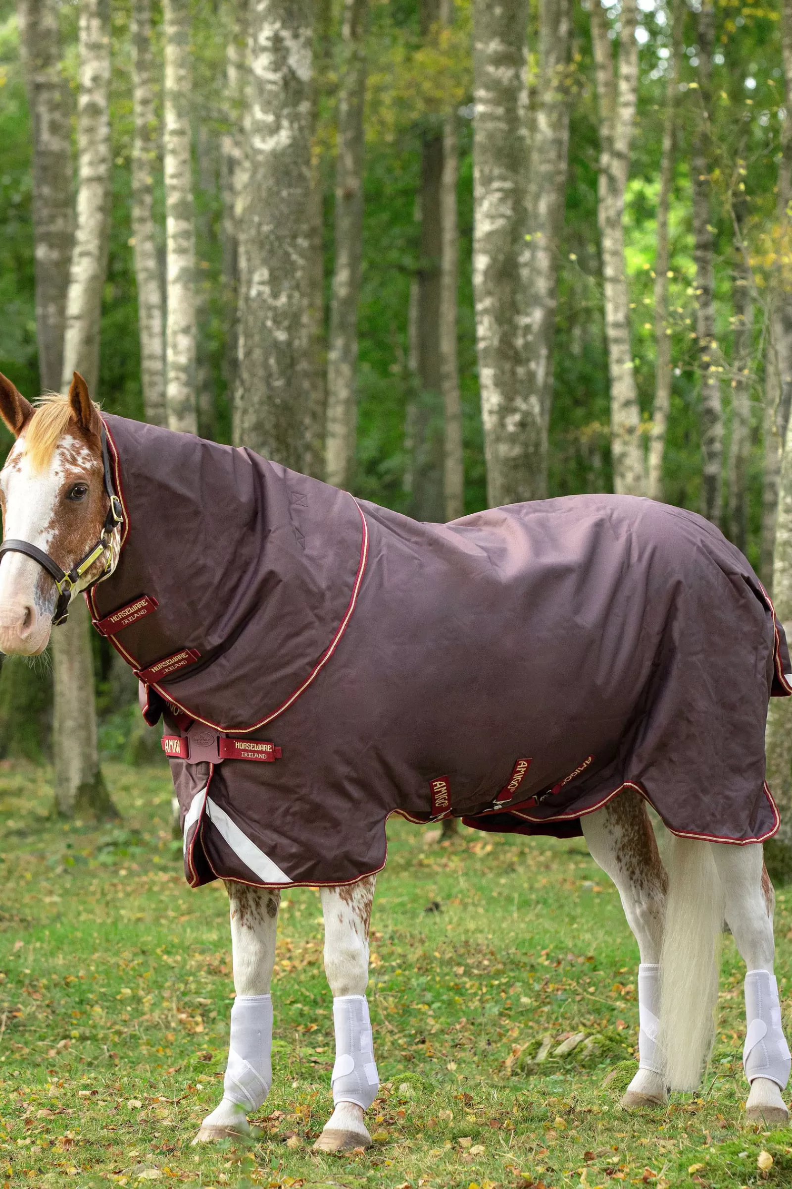 horseware Amigo Bravo 12 Plus T/O 100G D/Fr -Loimi Brown/Red/Gold/Red Shop