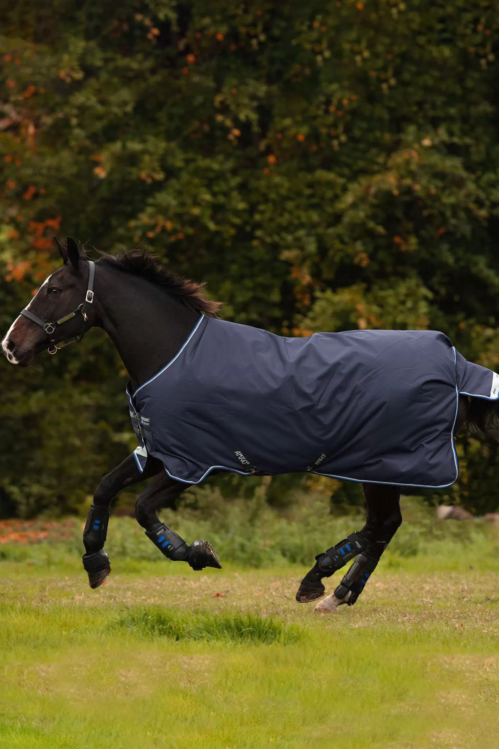 horseware Amigo Bravo 12 T/O Med W/La, 250 G Dark Blue/Blue/Black Hot