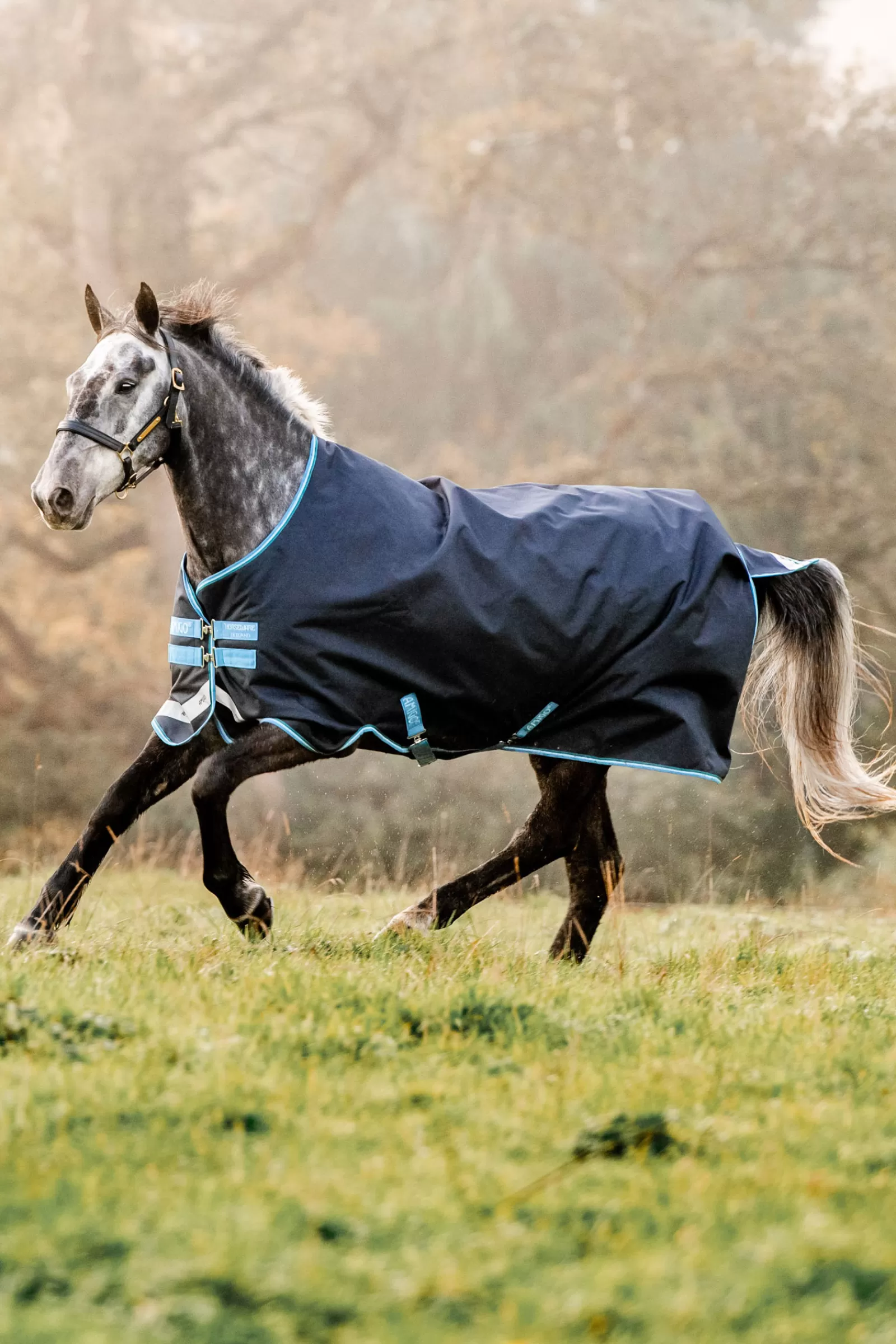 horseware Amigo Bravo 12 Ulkoloimi, 100 G Navy/ Turquoise Discount