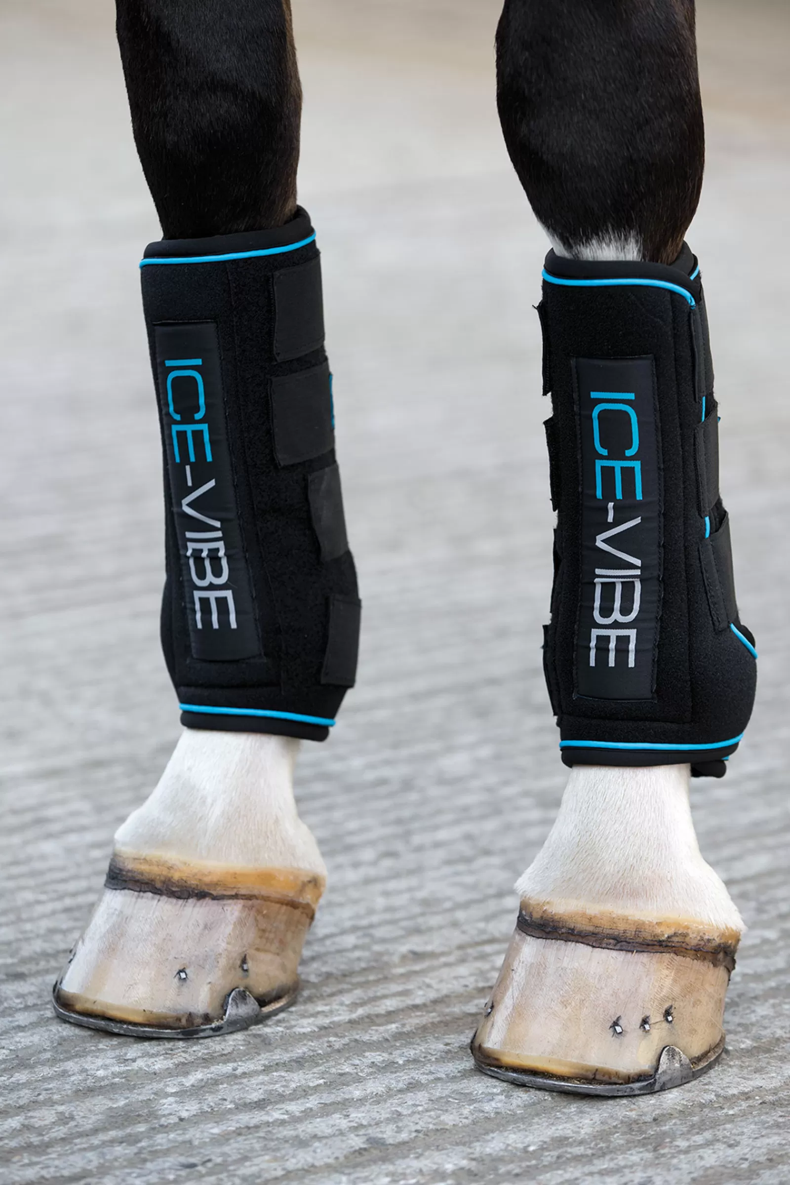 horseware Ice-Vibe Kylmayssuojat Black/Aqua Blue Clearance