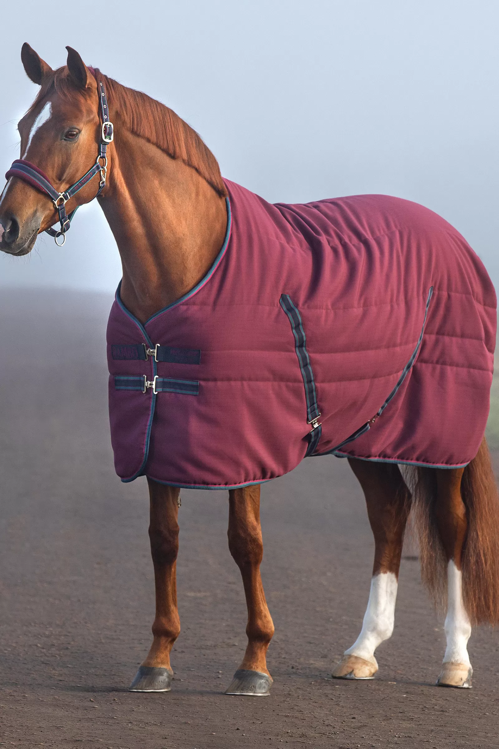 horseware Rambo Talliloimi Kohokuvioidulla Vuorauksella, 100 G Burgundy/Burgundy/ Teal/ Navy Cheap