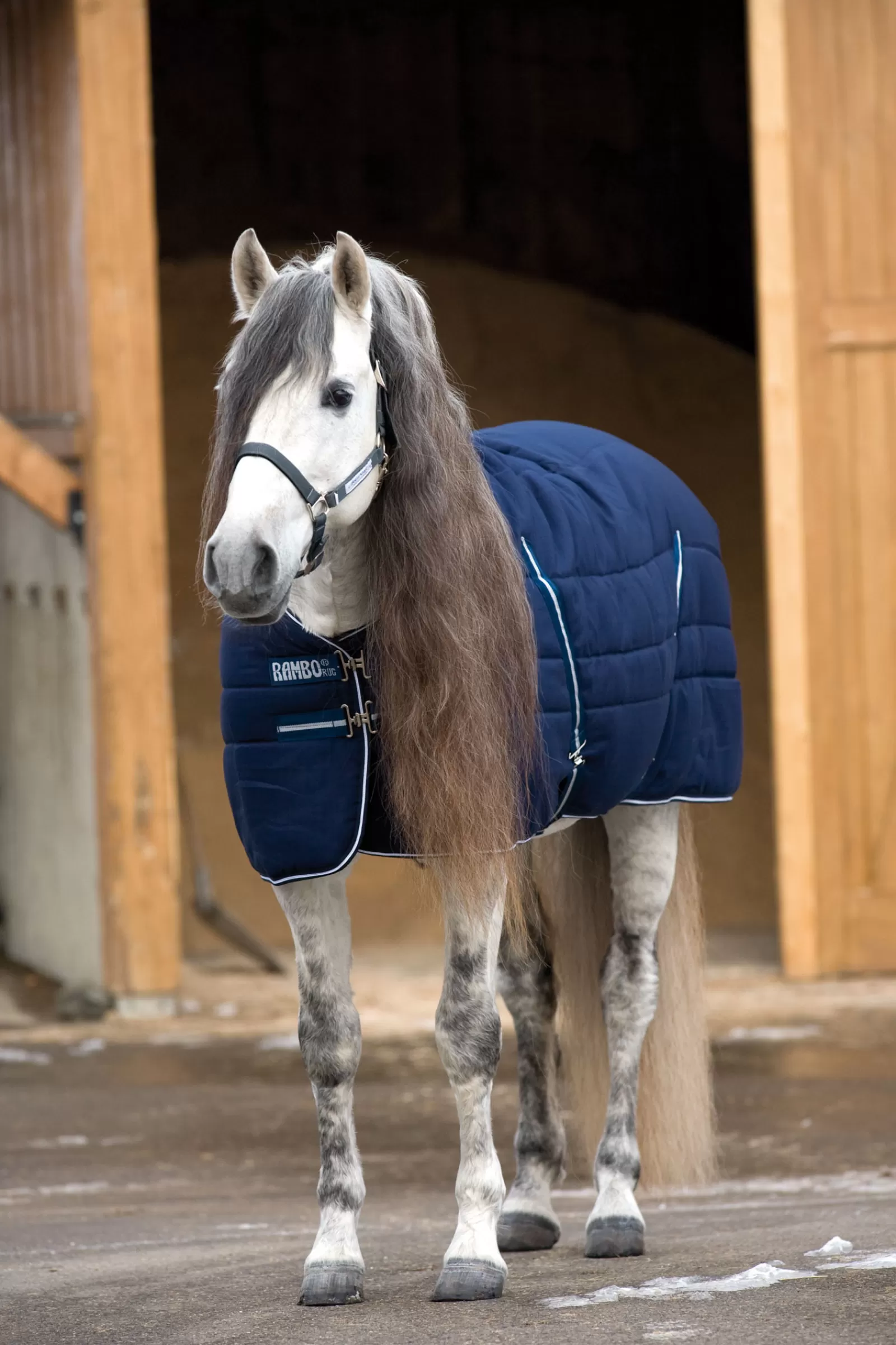 horseware Talliloimi Kohokuvioidulla Vuorauksella, 200 G Dark Blue/Dark Blue/White Store