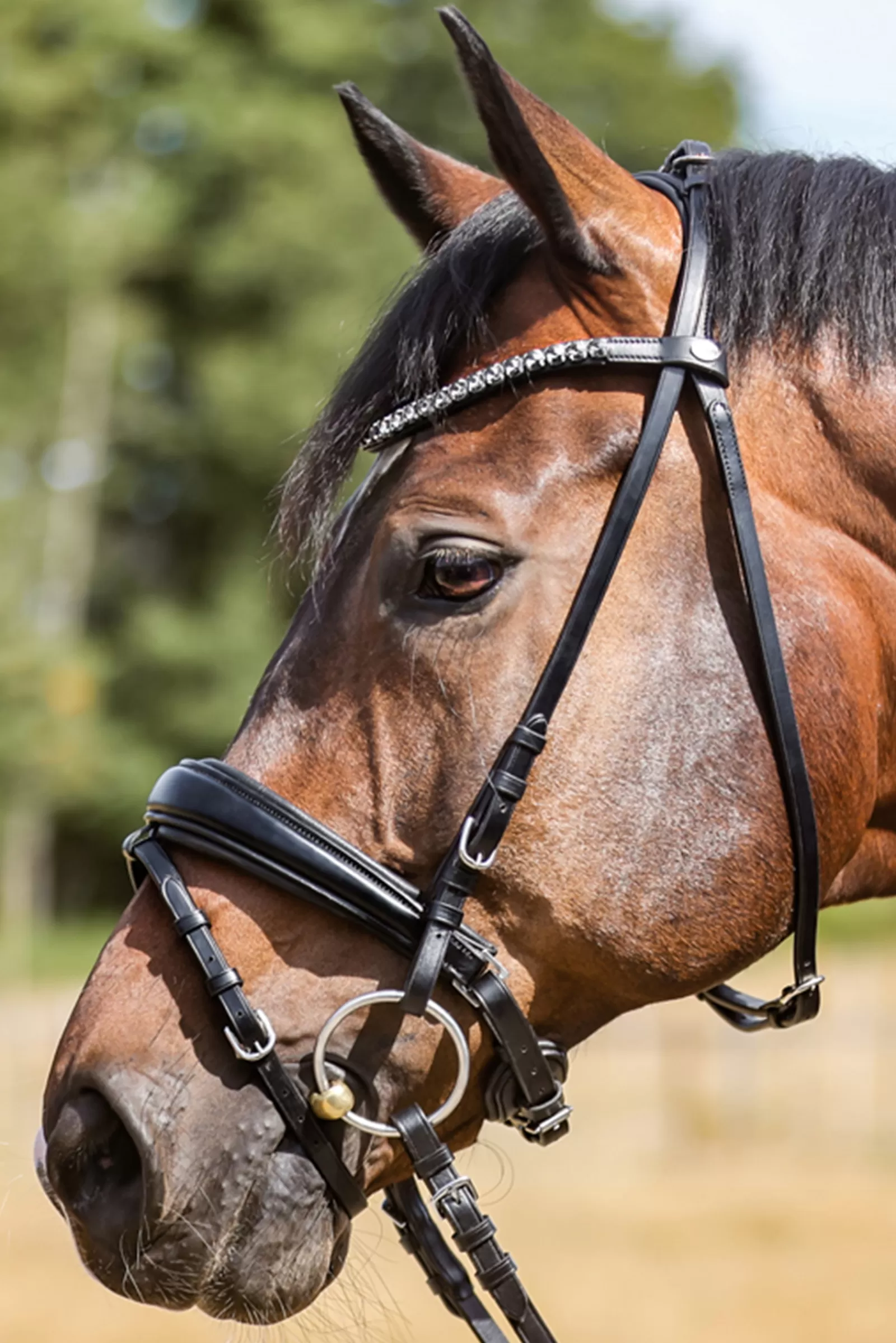 kavalkade Ayana Kavalsh4 Bridle Black Clearance