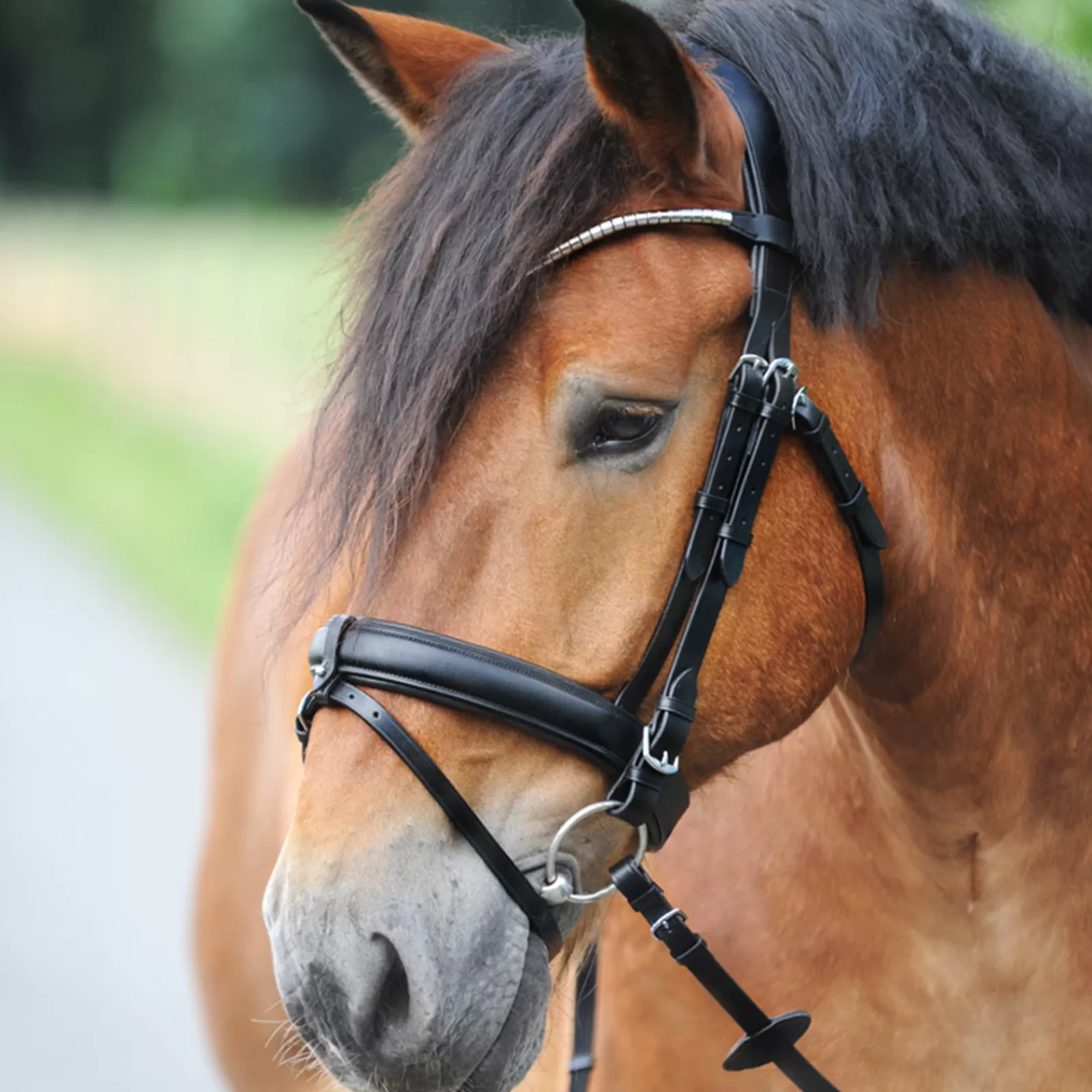 kavalkade Clinchesse Bridle Black/Silver Sale