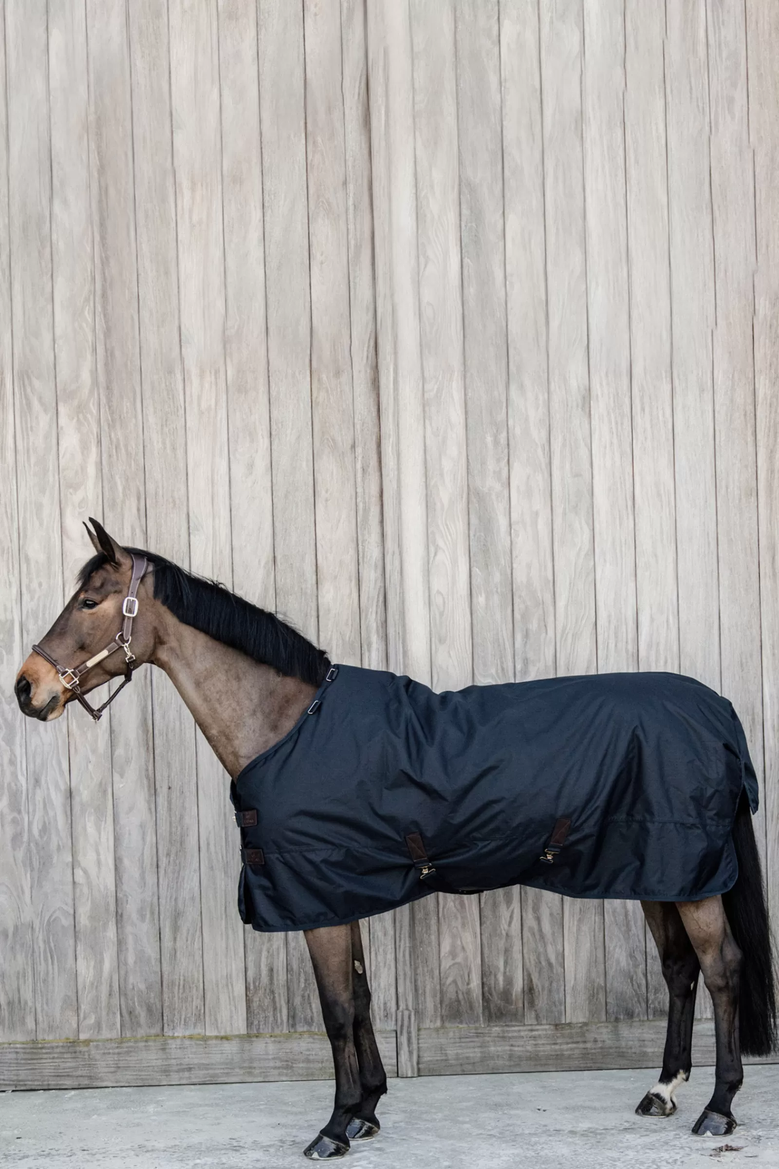 kentucky Horsewear All Weather Waterproof Classic Ulkoloimi, 50 G Db/Ab Fashion