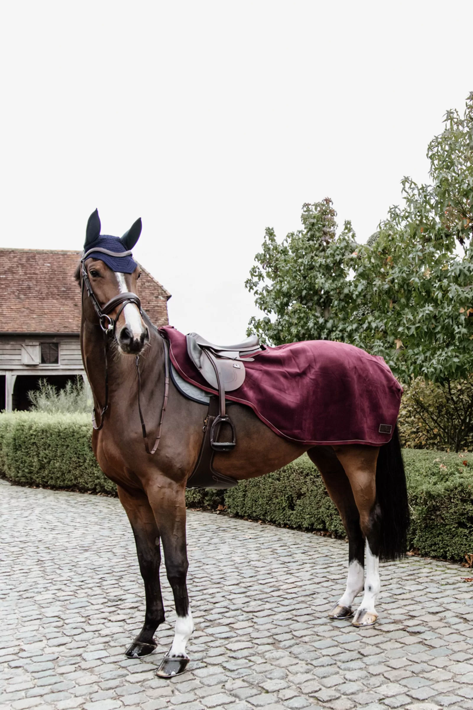 kentucky Horsewear Heavy Fleece Ratsastusloimi Medium Burgundy Dark Red Cheap