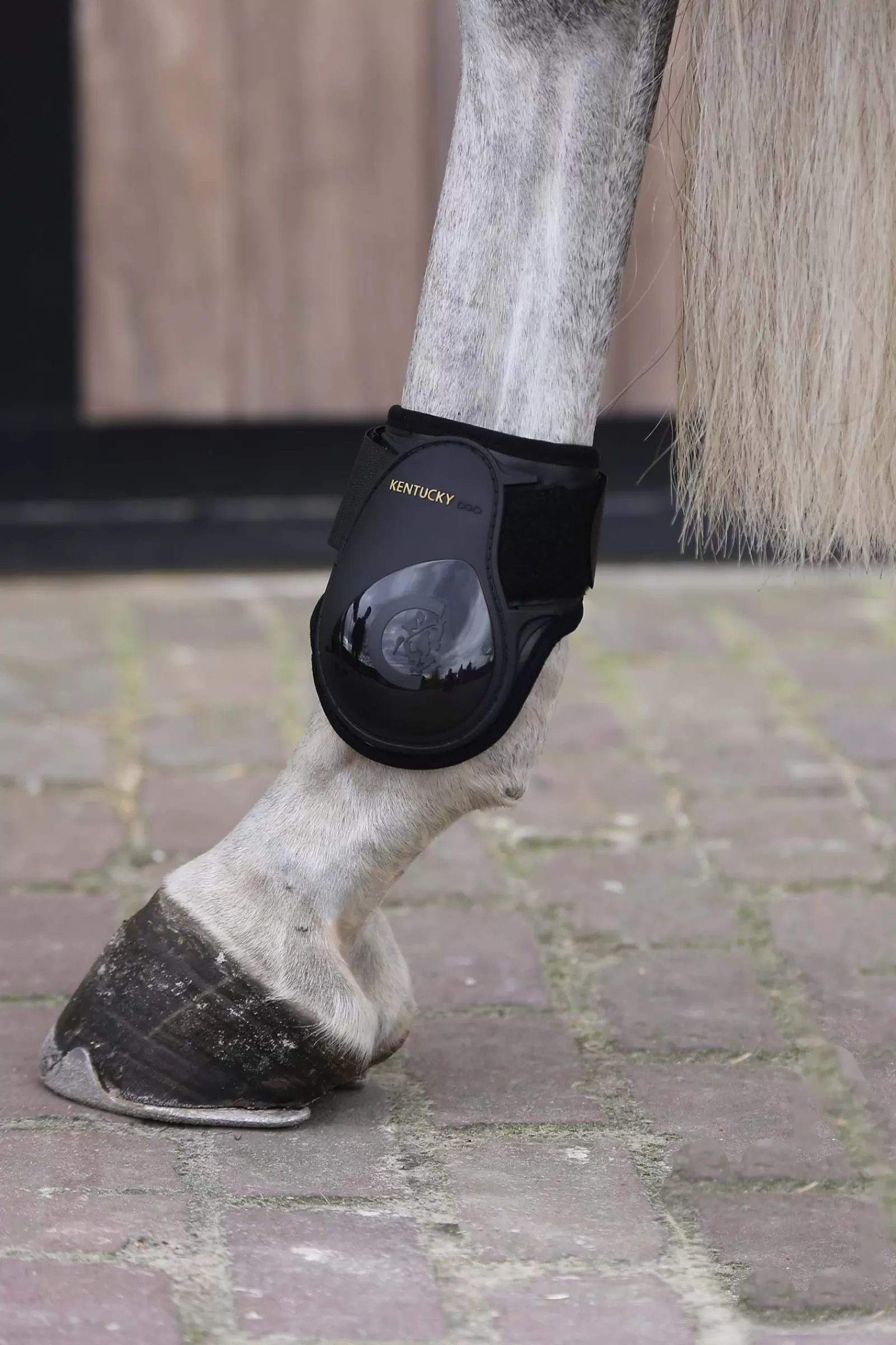 kentucky Horsewear Hivutussuojat Nuorille Hevosille Black Flash Sale