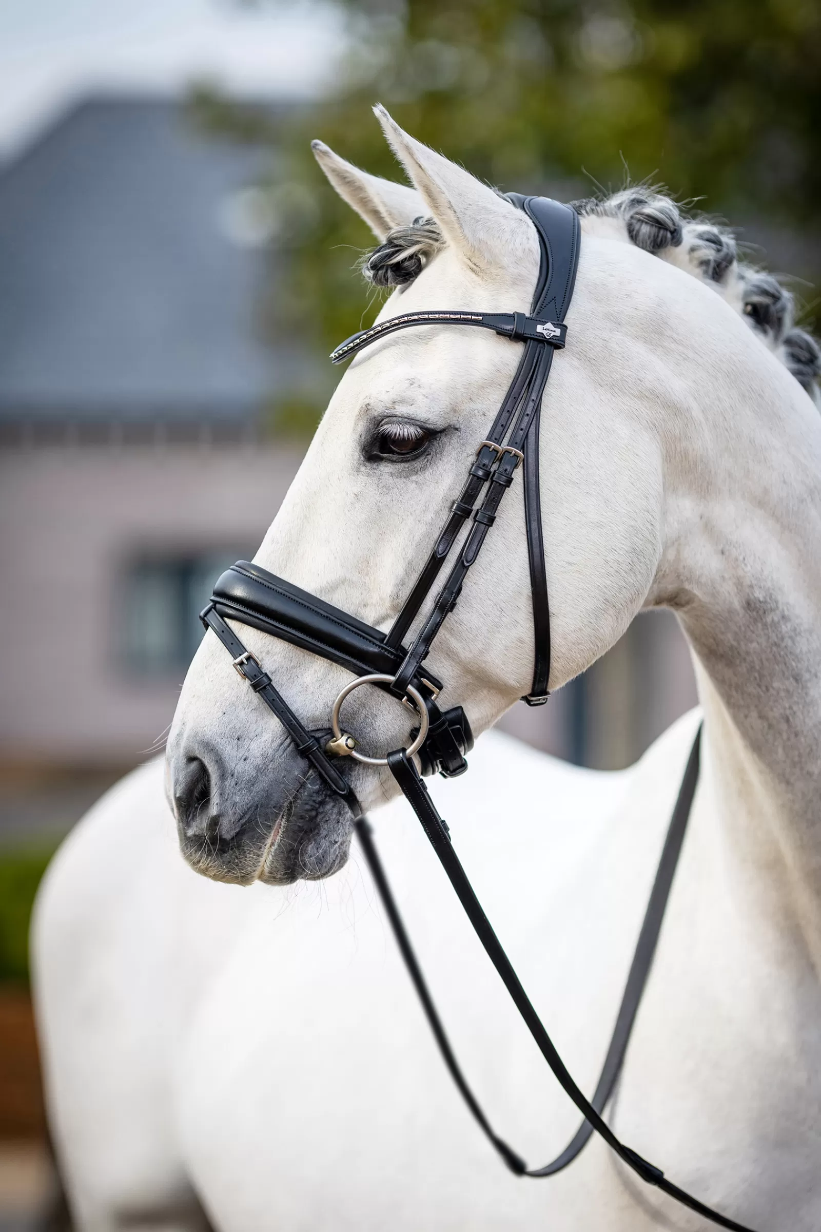 lemieux Classic Dressage Bridle Black Cheap