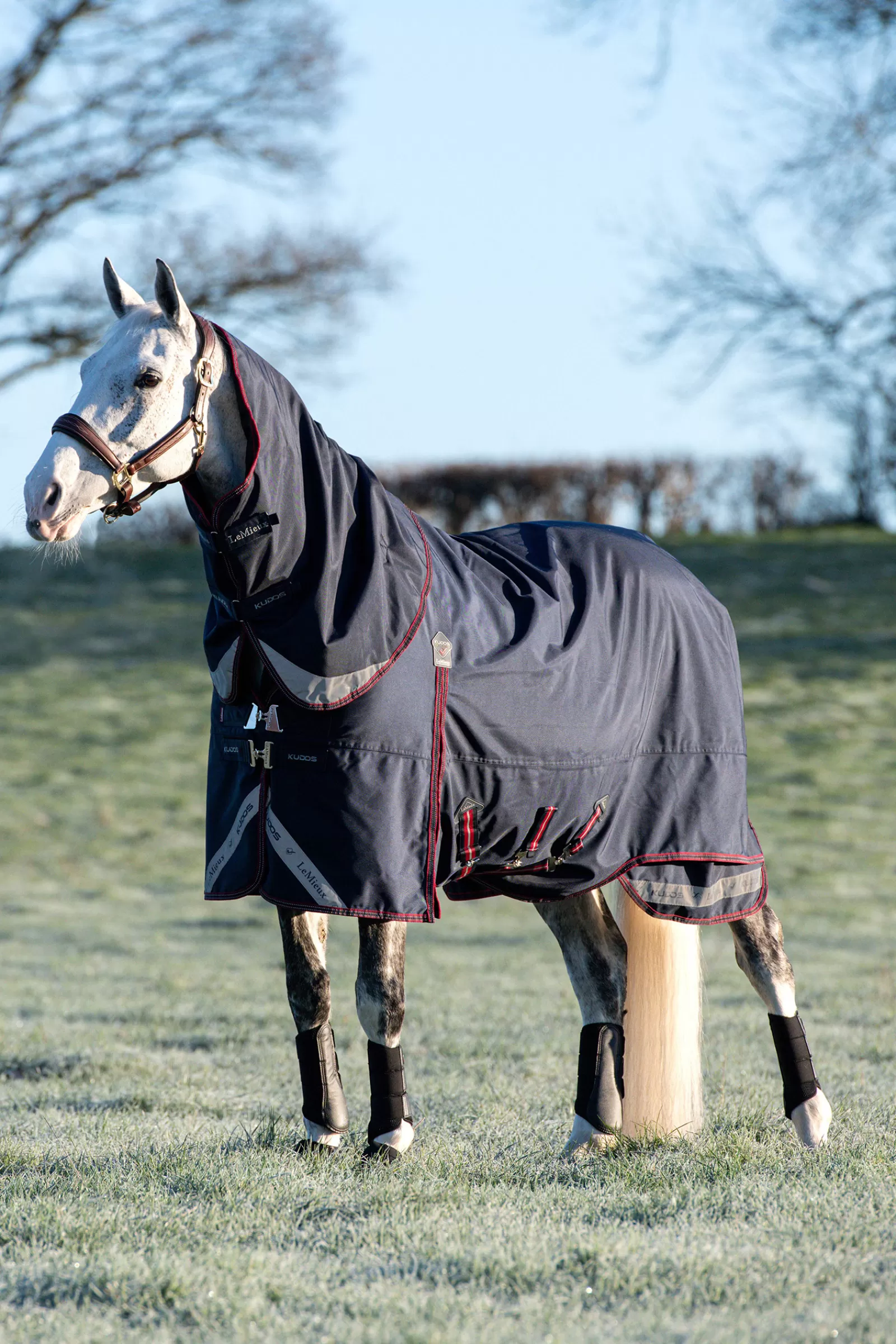 lemieux Kudos Lightweight Turnout Rug, 100G Navy Fashion