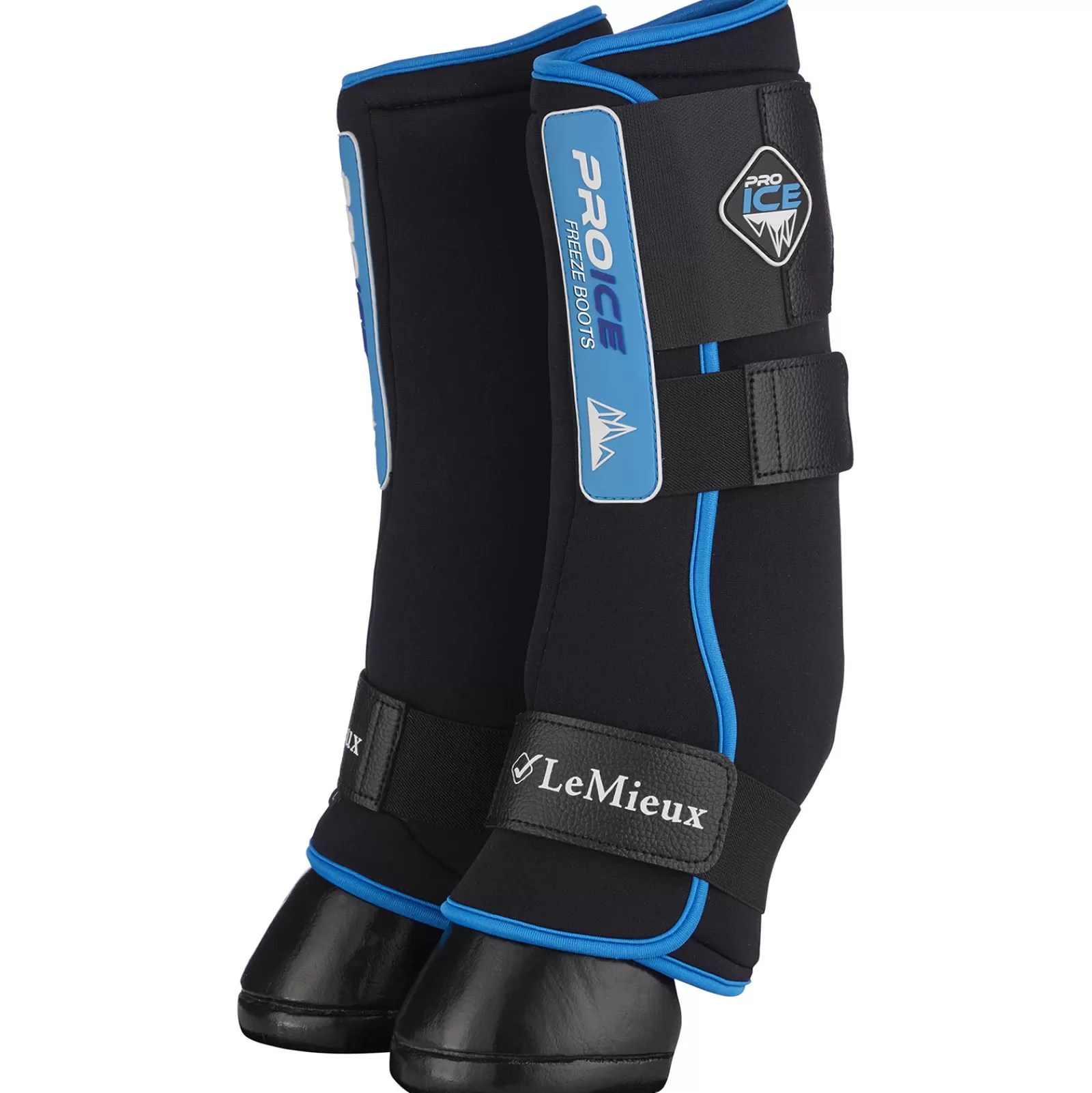 lemieux Pro Ice Freeze Boot Black Clearance