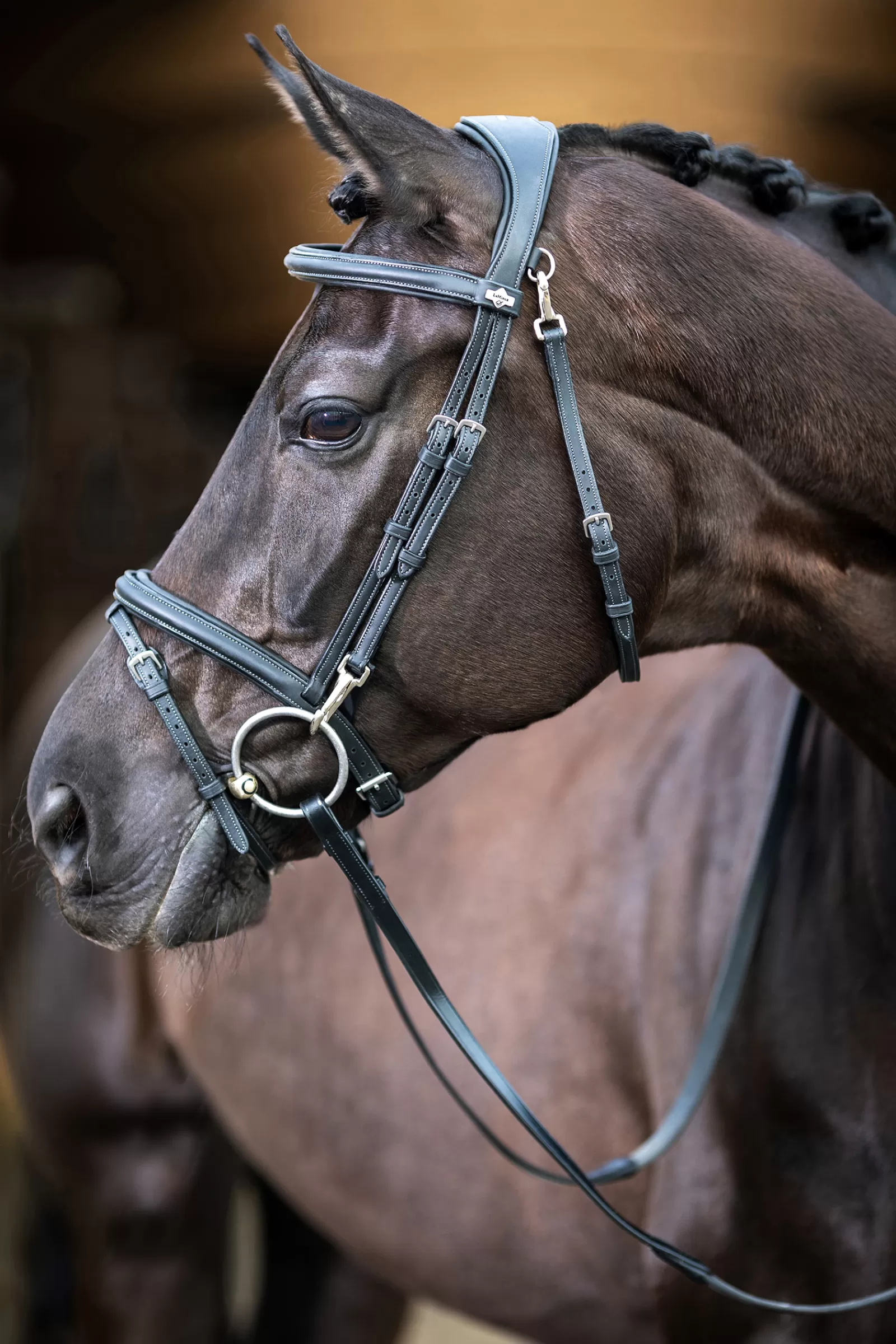 lemieux Work Bridle Black Discount