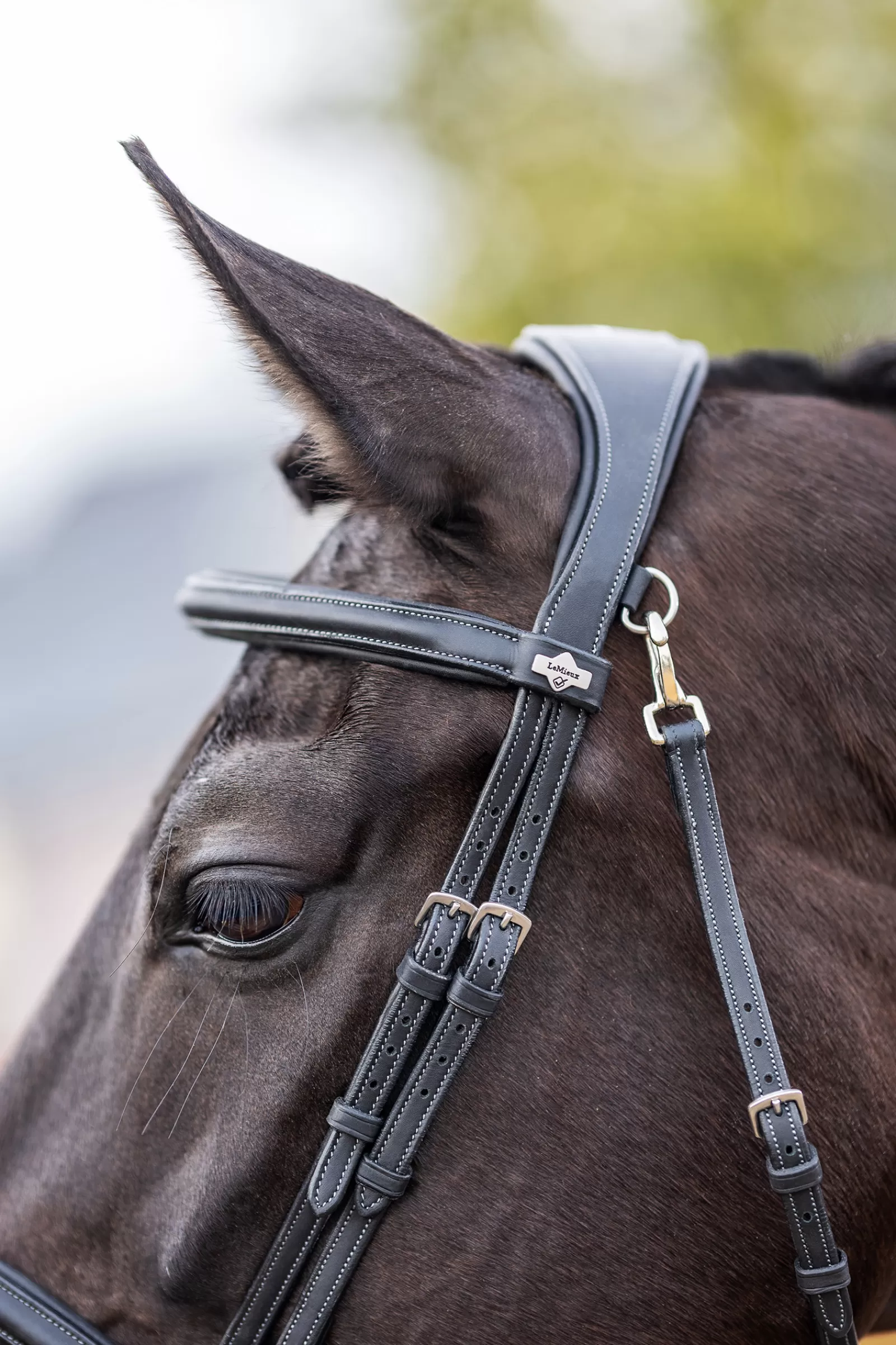 lemieux Work Bridle Black Discount