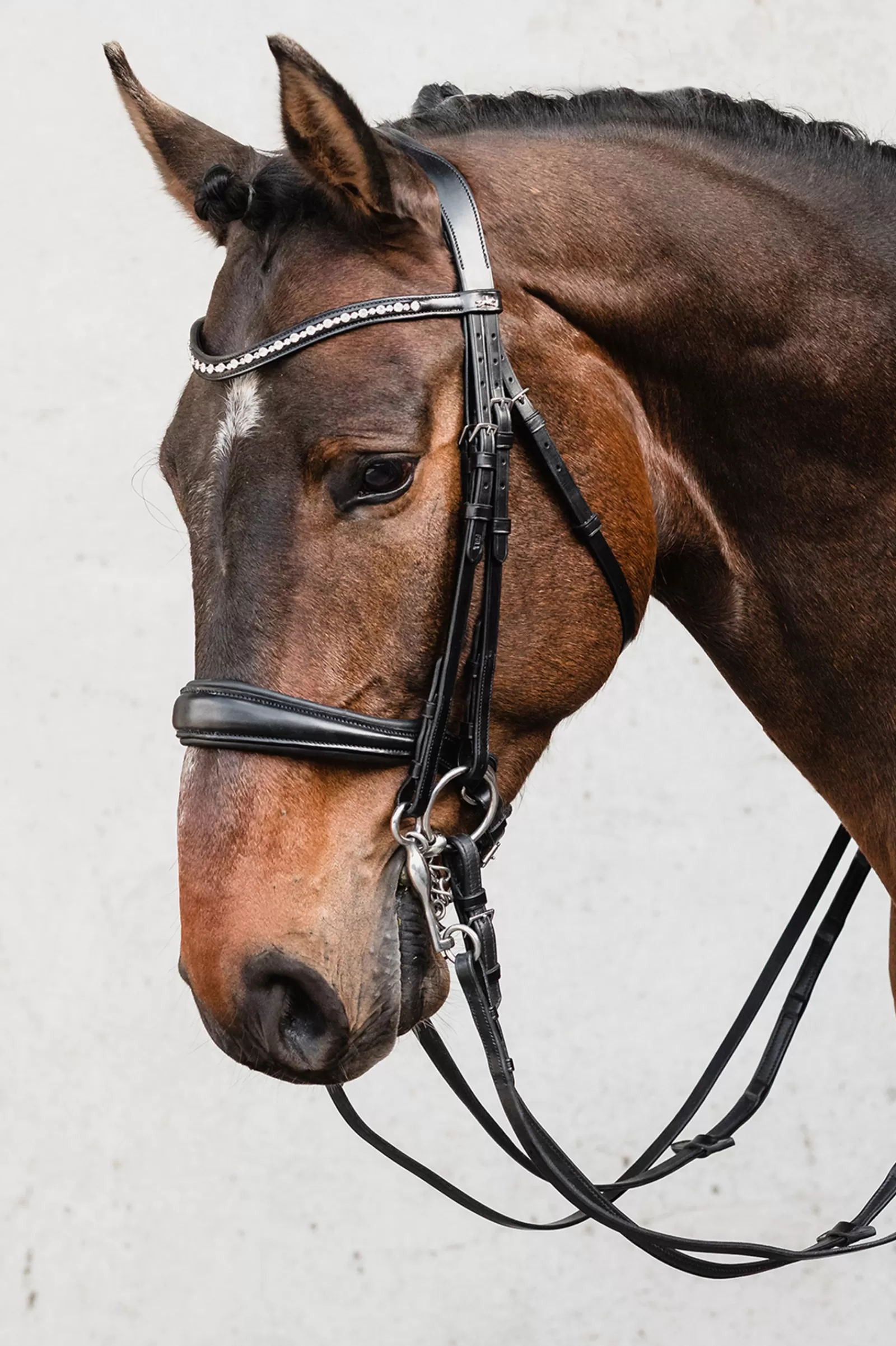 schockemohle Milton Anatomic Double Bridle Black/Silver Best