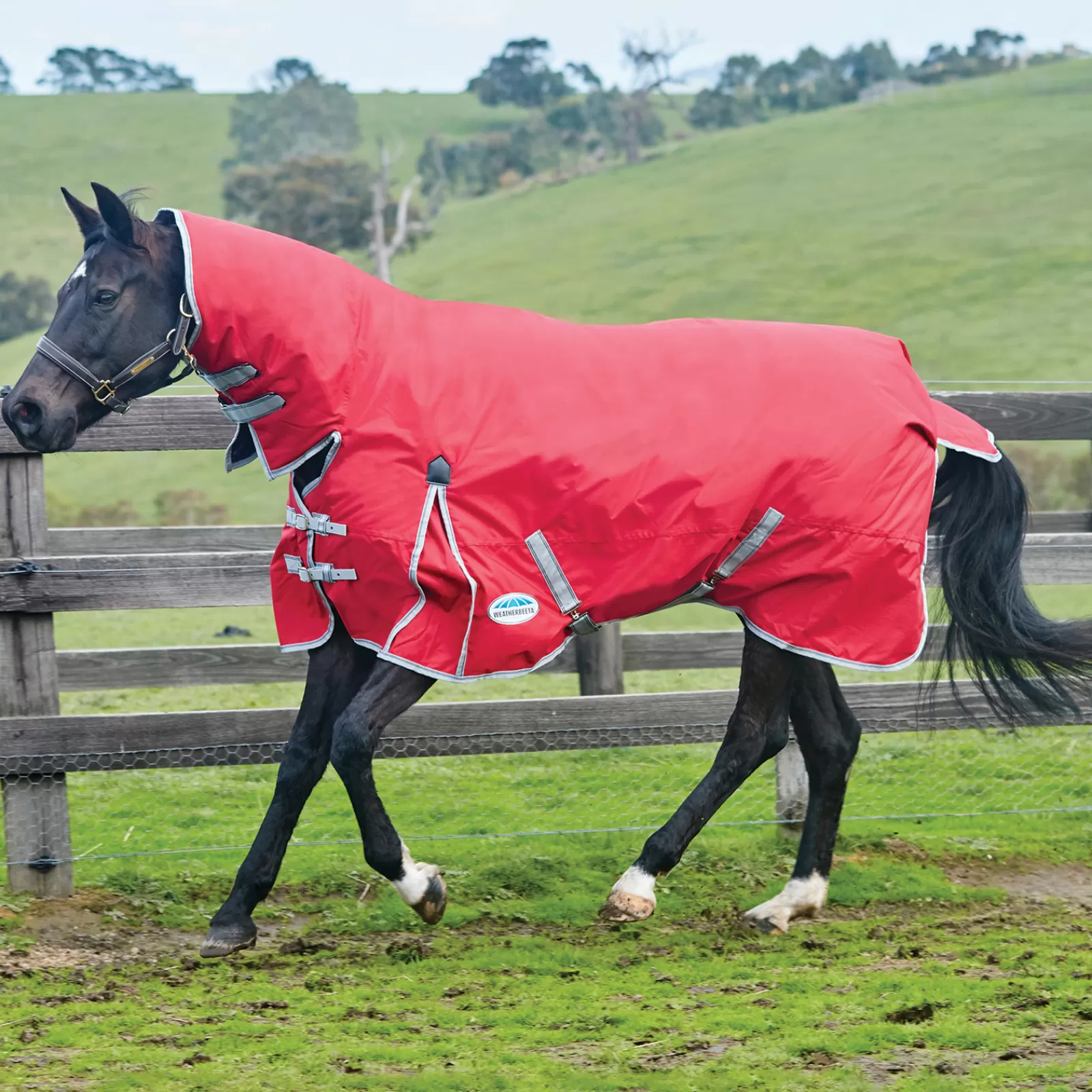 weatherbeeta Comfitec Classic Combo Ulkoloimi Kaulakappaleella, 100 G Red/Silver/Navy Best Sale